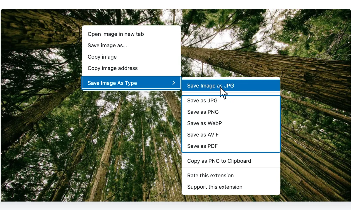The Save Image As Type submenu open inside the browser right-click menu, with callouts on the submenu entry and on the list of five save formats